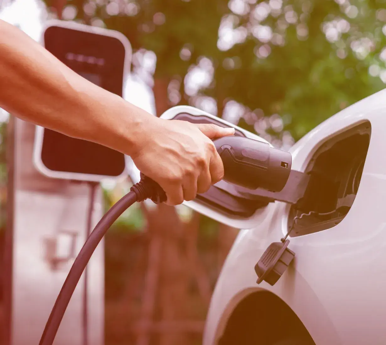 Esperides Rentals Rhodes